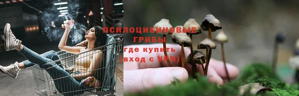 прущая мука Корсаков