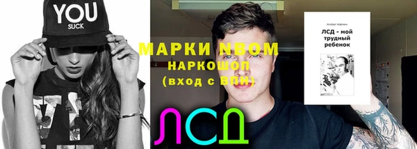 прущая мука Корсаков