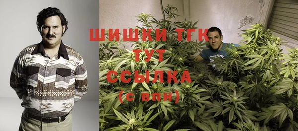прущая мука Корсаков