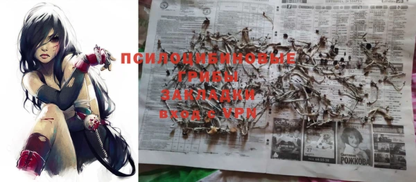 прущая мука Корсаков