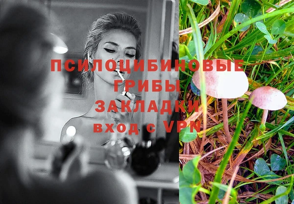 соль курить ск Костерёво