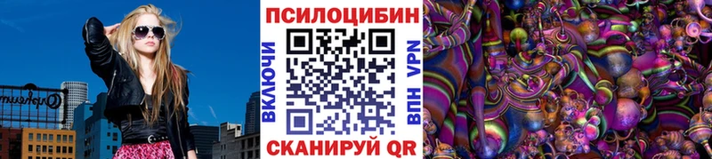 Купить  Кола  Галлюциногенные грибы Cubensis 